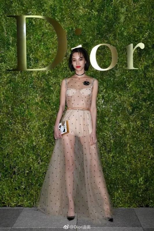 刘亦菲景甜穿 Dior 秒变仙女小公主,而这个牌子要卖掉了